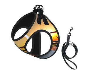 S - Chaleco y arnés para perro - Juego de correa de avión de tamaño pequeño con diseño de avión al atardecer con hebilla, compañero canino para viajes al aire libre