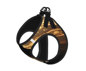 S Leash - Arnés tipo chaleco para perro, tamaño pequeño, diseño de semental del atardecer (1) juego de correa reflectante para mascotas para exteriores y pasear al perro