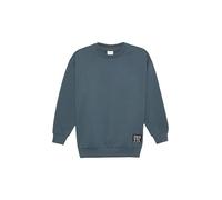 s.Oliver Junior 2160639 Suéter pulóver, 9515, 164 para Niños