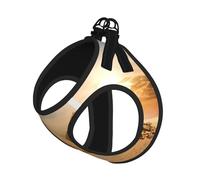 S Pet - Arnés tipo chaleco para perro, tamaño pequeño, pirámide egipcia en estampado del desierto, ajustable para viajes al aire libre y caminar