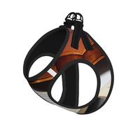 S Pet Leash Chaleco y arnés para perro, juego de correa con estampado de libro de violín de tamaño pequeño con hebilla, compañero canino para viajes al aire libre