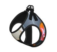 S Pet Leash Chaleco y arnés para perro, juego de correa con estampado de violín y libro de tamaño pequeño con hebilla, compañero canino para viajes al aire libre