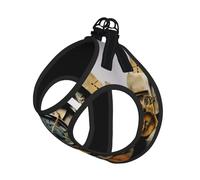 S Pet Leash Chaleco y arnés para perro - Juego de correa de tamaño pequeño con impresión artística de reloj con hebilla, compañero canino al aire libre viajes