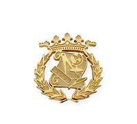 S&S Emblema Profesional - Plata Dorada, Magisterio