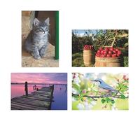 S&S Worldwide Juego de rompecabezas de espuma Thera-Jigsaw Manzana, Bluebird, Muelle y gatito, paquete de 4