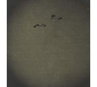 S U R V I V E - S U R V I V E (LP, Red Colour Vinyl, Us Import) [Vinilo]