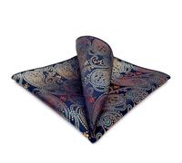 S&W SHLAX&WING Pañuelo de Bolsillo Paisley Multicolor para Hombres Pañuelo de Moda Nuevo