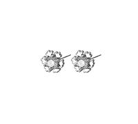 S925 Plata Esterlina Pendientes de Zircón Coreano Otoño Salvaje e Invierno Pendientes de Copos de Nieve Hexagonal Mujeres Blanco, S999 Plata Completa, LJBLEUSK