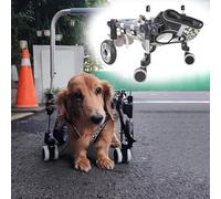 Sa a rotelle per Cani a 4 Ruote per Cani di cola Ma e Gr Taglia Supporto per Le Zampe Anteriori e Piori Ausilio per Camminare con Gli Animali Domestici Taglia XS Reg