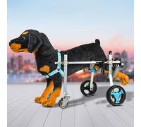 Sa a rotelle per cani a 4 ruote per disabili o animali paralizzati supporto riabilitativo per zampe anteriori e piori