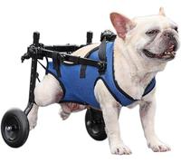Sa a rotelle per Cani per Zampe Piori Ausilio per la lità per Animali Domestici disabili Tutore Reabile per Zampe di Cane e Supporto per nchi Perfetto per Cani di cola tagl