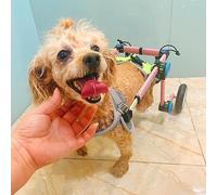 Sa a rotelle Reabile a 2 Ruote per Cani Animali Domestici disabili Supporto per la lità dei Gatti Aiuto per Il Recupero e Zampe Piori Accessorio per Passeggino per coli
