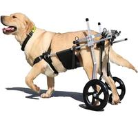 Sa a rotelle Reabile per Cani con Supporto per Le Zampe Piori Ausilio alla lità in Alluminio per Animali Domestici disabili e paralizzati Design a 2 Ruote per Una migli