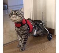 Sa a rotelle Reabile per Cani e Gatti di cola Taglia Supporto per Le Zampe Piori per Animali Domestici feriti Anziani 2 Ruote gili per Maggiore lità t e stabilità (