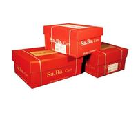 Sa.Ba.Cart S01240127000 - Papel de módulo Continuo, 240 mm x 12 Pulgadas, 70 g/m², Blanco Pistas Desmontables, Paquete de 2000 Hojas