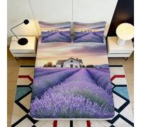 Sábana Ajustable 3D Impresa Campo de Lavanda Microfibra Bolsillo Profundo Antideslizante Ropa de Cama Campo de Lavanda Mattress Fitted Cover Lavable para Adultos/Jóvenes 160x200x25cm