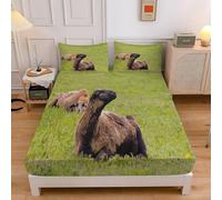 Sabana Bajera 135x190 CéSped Sabanas Bajeras Estampadas Oveja Karakul Sábana Bajera Ajustable Suaves, Elastico Funda Colchon con 2 Funda Almohada 50x80 cm, para Colchón de 30cm de Altura