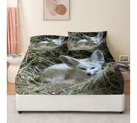 Sabana Bajera Ajustable Zorro fénec Sabanas 180x200 Animal Ropa de Cama, Protector Colchon Suave Cómoda con Bolsillo Profundo de 30 cm, y 2 Fundas de Almohada
