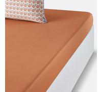 Sábana bajera de algodón Pessoa. Talla Cama 140cm (140x190cm). Color Caramelo