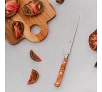 SABATIER La Gama Ideal de Lion Fabricados en Thiers, en el corazón de la tradición cuchillera Francesa, los Cuchillos Lion Ideal están 100% forjados, lo Que Garantiza ro