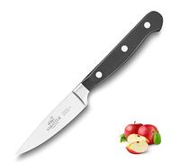 Sabatier La gama PLUTON de Lion gama Pluton de Lion diseñada para ser tu compañera de diario, tanto si eres un chef profesional como un apasionado de la cocina