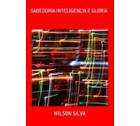 Sabedoria Inteligencia E Gloria (ebook)