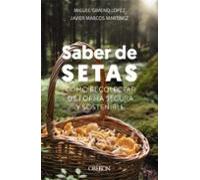 Saber De Setas (ebook)