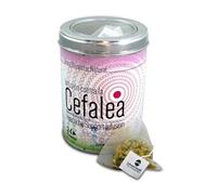 SABOREATE Y CAFE THE FLAVOUR SHOP Infusión Natural Ayuda contra la Cefalea - Lata 24 Pirámides - Alivio de Dolores de Cabeza - Infusión Relajante con Hierbas Naturales