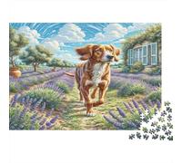 Sabueso de Sangre Rompecabezas de Papel Reciclado de Dos Perros Corriendo en Campo de Lavanda, Juguete Educativo para Toda la Familia 38x26cm/1000 Piezas