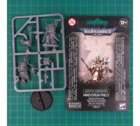 Sacerdote del Ministorum