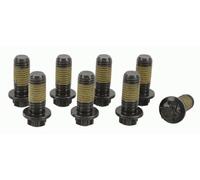 Juego de tornillos, volante SACHS 1874 000 072