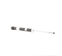 Sachs Amortiguador 316 741 – compatible con Kia Carens IV (RP) 2013 – Eje trasero