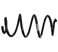 Sachs 993 737 muelles