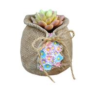 Sack Flower Pot,Resin Statue Plants Pot Container in Sacks Shape | Figurines Desktop Ornament for Home Decor, Bedroom Living Room Indoor Outdoor Garden Patio Decor