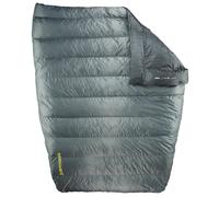 Saco de dormir de plumón Therm-a-Rest Vela 20F/-6C Dbl Color: plata