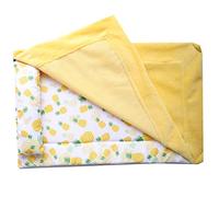 Saco de dormir para reptiles con almohada y manta, cama de dragón barbudo suave y cálida con patrón de piña, accesorios de reptil para dragón barbudo, lagarto, gecko de leopardo y animal pequeño