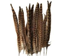 Sacolin Paquete de 24 varitas de plumas naturales de faisán para gatos, mango de madera, juguetes interactivos para gatos, plumas de pájaro bailando, juguetes para gatos, ejercicio para mascotas y