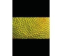 Sacred Meatless: Rainforest Plants That Taste Like Meat (The Jungle Mindset Series)