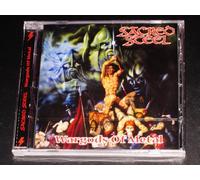 SACRED STEEL - WARGODS OF METAL