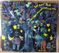 Sad Boys Club - Lullabies From The Lightning Tree
