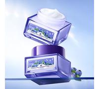 SADOER - Blueberry Hyaluronic Acid Antioxidant Moisturizer 60g