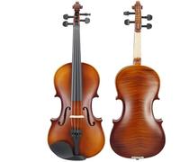 SADPRKR Los estudiantes con patrón de tigre practican violín, violín de madera de arce, violín principiante
