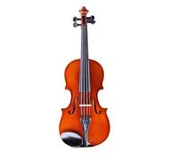SADPRKR violín con color mate, adecuado para instrumentos de nivel principiante para adultos y niños