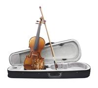 SADPRKR Violín con patrón artesanal de color natural para principiantes y adultos que tocan instrumentos de cuerda de violín de madera maciza