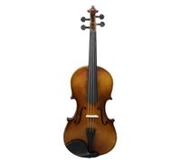 SADPRKR Violín de color natural, madera de tilo, popularizado para principiantes para practicar violín, dando una caja triangular como regalo