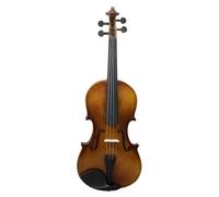 SADPRKR Violín de color natural, madera de tilo, popularizado para principiantes para practicar violín, dando una caja triangular como regalo