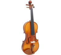 SADPRKR Violín mate brillante con patrón de tigre, violín de arce abeto, violín de nivel de rendimiento profesional con accesorios