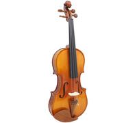 SADPRKR Violín mate brillante con patrón de tigre, violín de arce abeto, violín de nivel de rendimiento profesional con accesorios