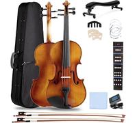SADPRKR Violín principiante de tamaño completo, cuerda, arco, reposamuñecas, dispositivo de afinación, guía de dedos para violín