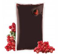 Sadvit Arándano Fresco 100% - 1500 ml